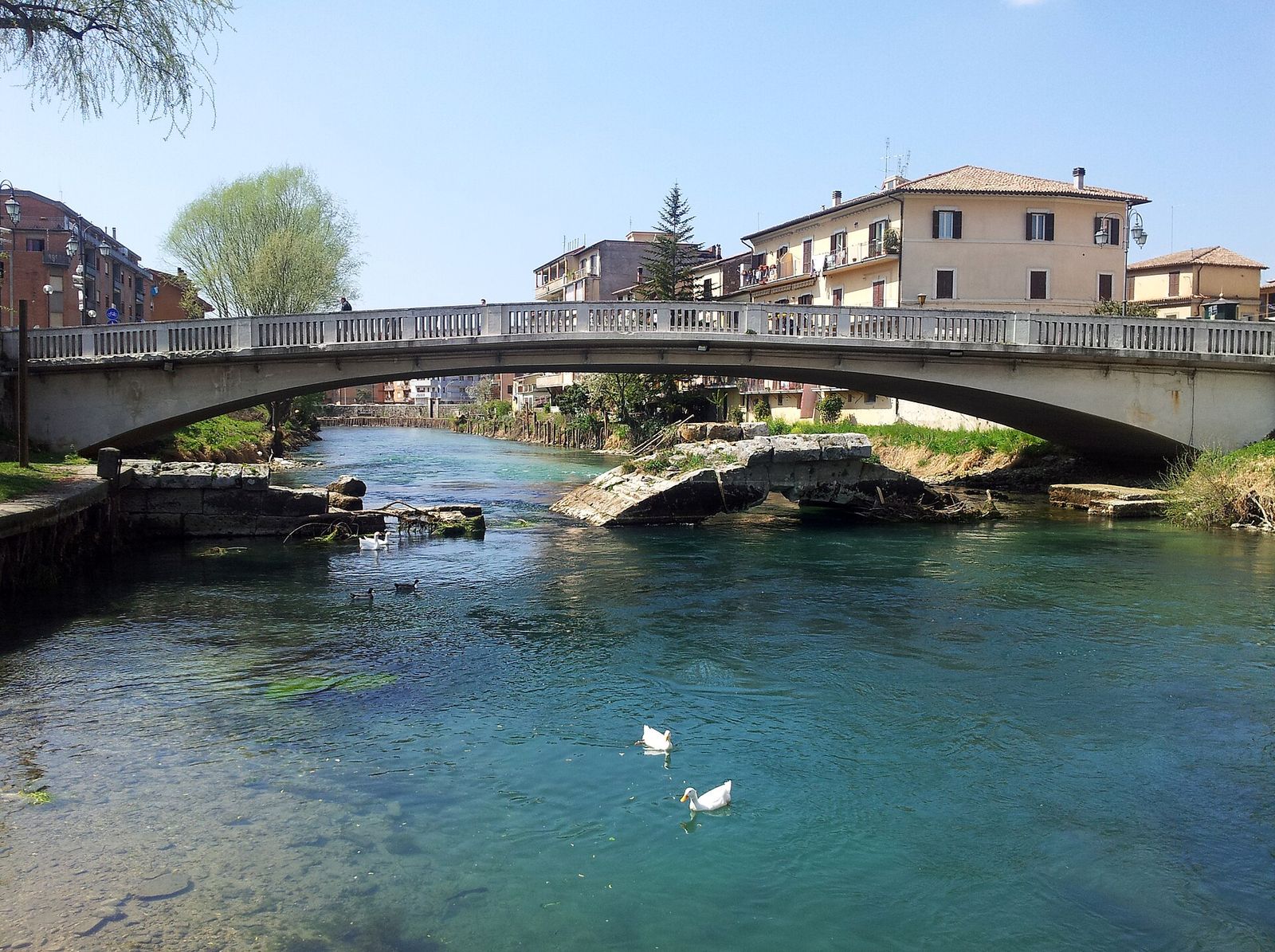 Il ponte romano di Rieti sul fiume Velino, con i cigni sull&rsquo;acqua